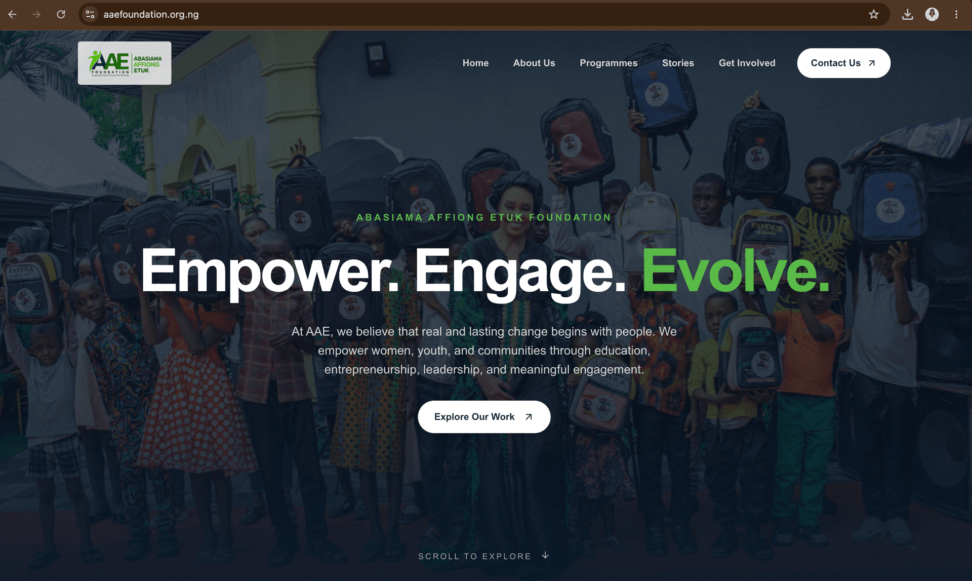 AAE Foundation website preview